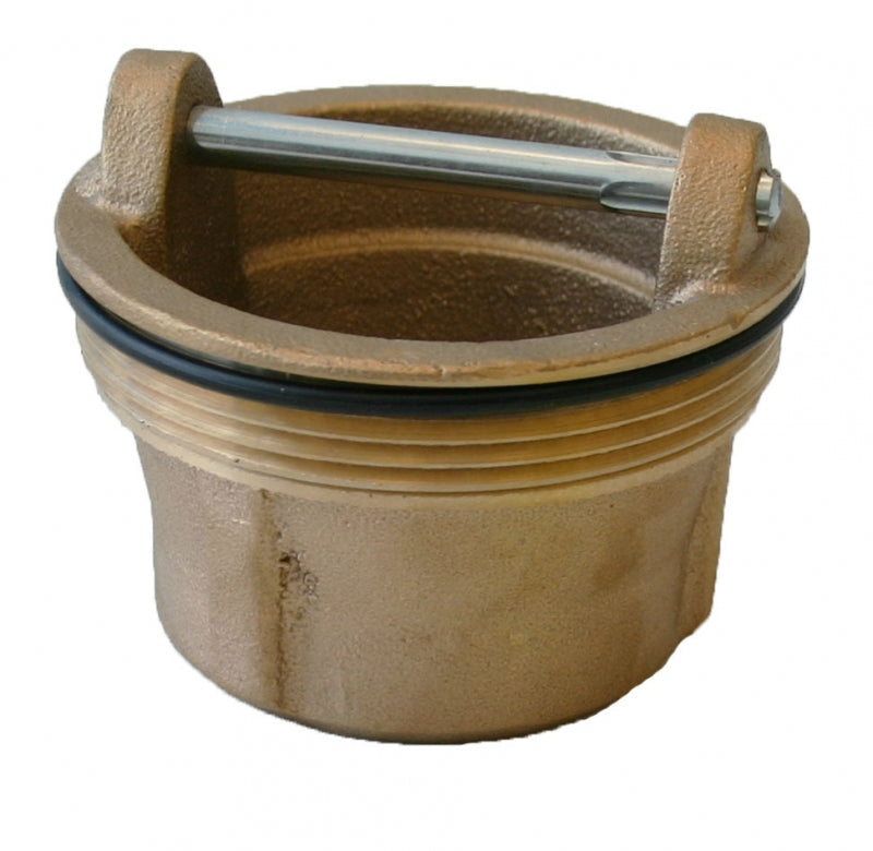 Morrison Bros Fig. 561P Extractor Fitting Test Plug, Brass with O-ring ...